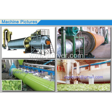 Coal, metal powder rotary drum dryer